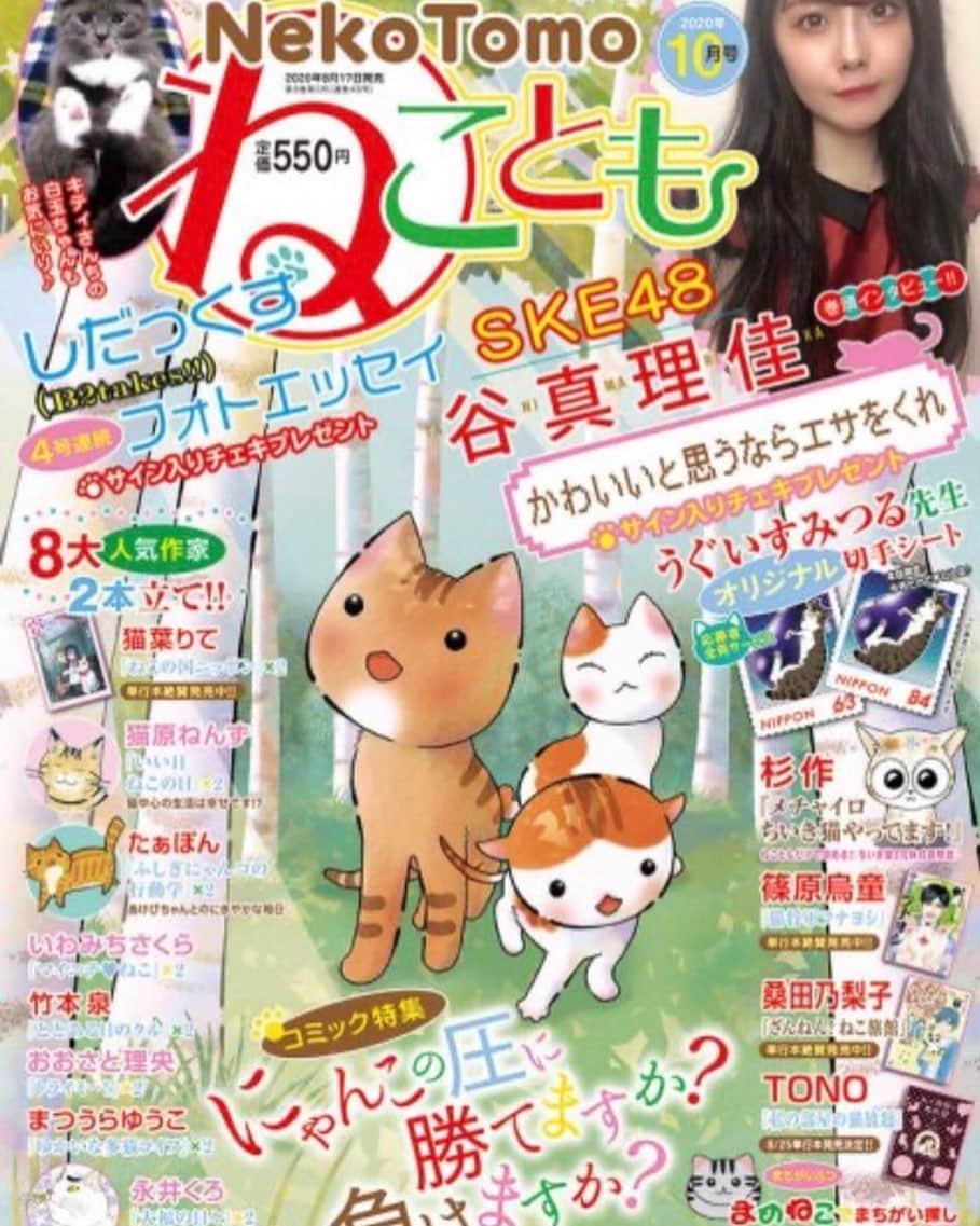 谷真理佳のインスタグラム：「ねことも10月号発売中です🐱﻿ 福岡県の実家に居る愛猫マーちゃん🐈﻿ 大きく掲載されてます📚﻿ とっても嬉しい〜☺️💕是非😆」