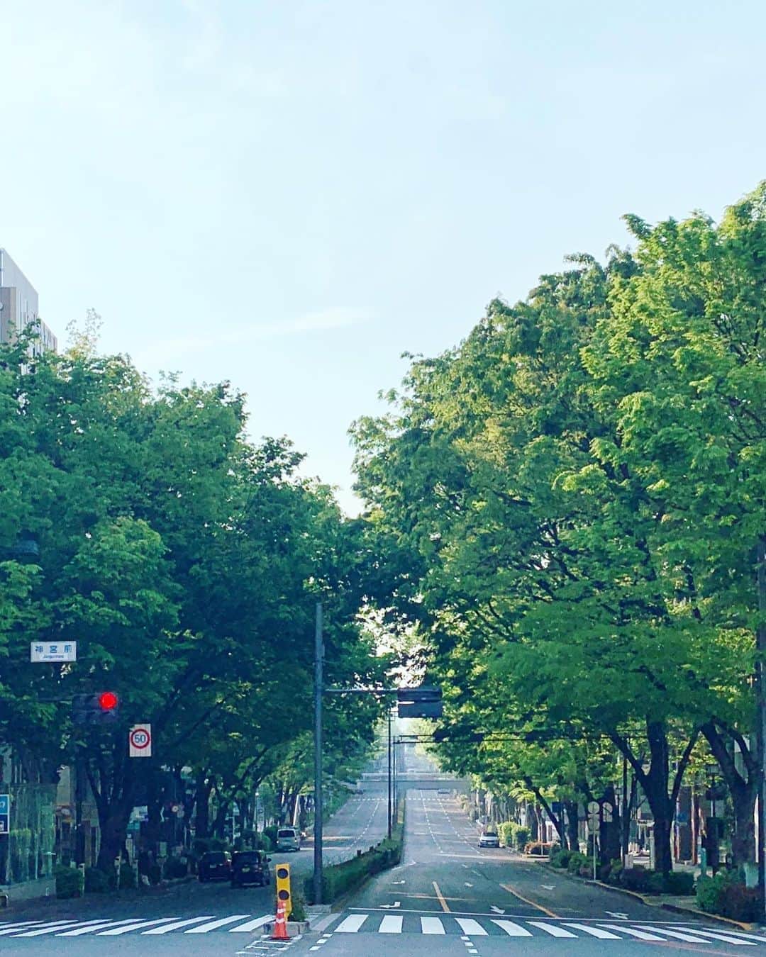 いかりさとみのインスタグラム：「表参道と取り壊しになるJR原宿駅の旧駅舎  仕事へ、美容院へ、買い物へと何度この改札をくぐったことか  東京の駅はどこも大きすぎて でも原宿駅は木造でかわいくて好きだったな〜  #表参道 #原宿 #原宿駅 #memory #omotesando #harajuku」