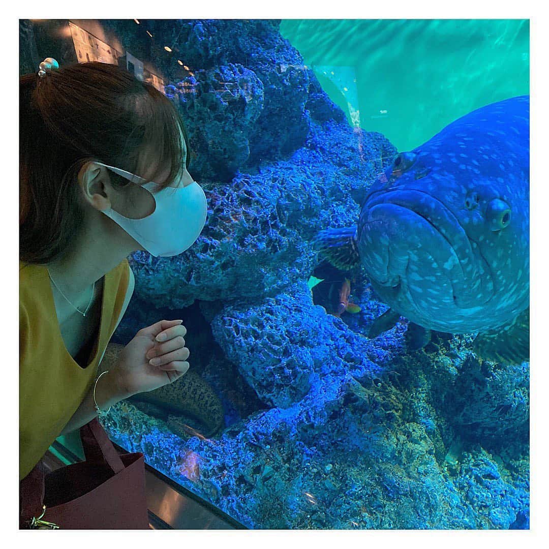 森杏奈さんのインスタグラム写真 - (森杏奈Instagram)「ㅤㅤㅤㅤㅤㅤㅤㅤㅤㅤㅤㅤㅤ ㅤㅤㅤㅤㅤㅤㅤㅤㅤㅤㅤㅤㅤ 凄いのがいた‥‥よ😳 ㅤㅤㅤㅤㅤㅤㅤㅤㅤㅤㅤㅤㅤ #aquarium #水族館  ㅤㅤㅤㅤㅤㅤㅤㅤㅤㅤㅤㅤㅤ」9月1日 18時21分 - _morianna