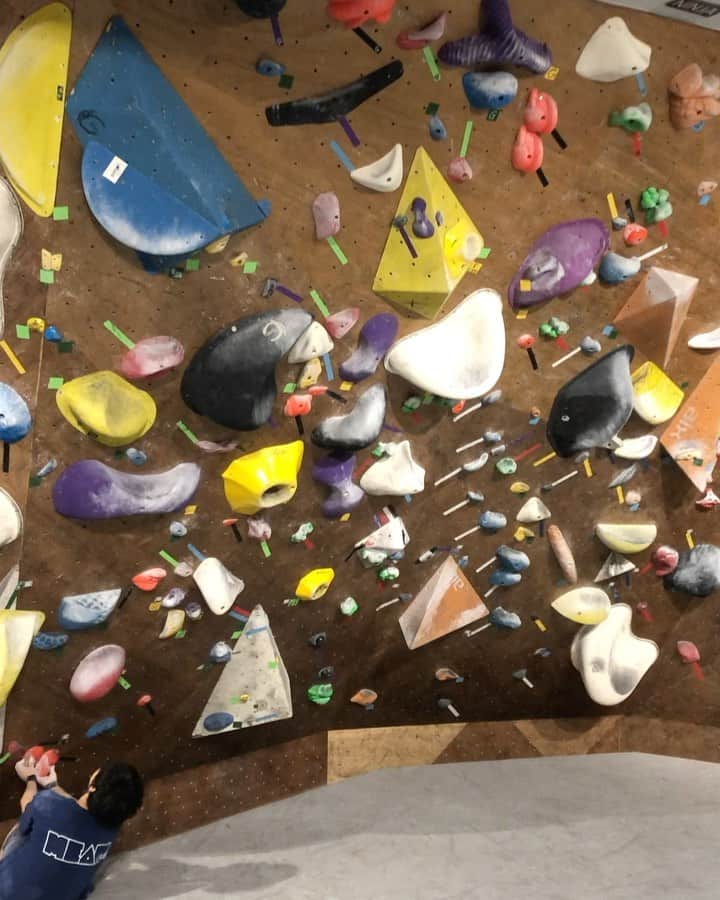 石松大晟のインスタグラム：「・﻿ 今日はBCT🧗‍♀️﻿ ﻿ 目標の三段コンプリート達成🔥﻿ 一本にめちゃめちゃハマってしまったけど諦めずに最後までトライして良かった！﻿ ﻿ 動画は得意系だった三段🙏﻿ ﻿ @gontexofficial ﻿ @mudhand_cb ﻿ @lasportivajp ﻿ @thoufun_official ﻿ @hokoru856 ﻿ #climbing #bouldering #basecamptokyo #climbing_videos_of_instagram #bouldering_videos_of_instagram」