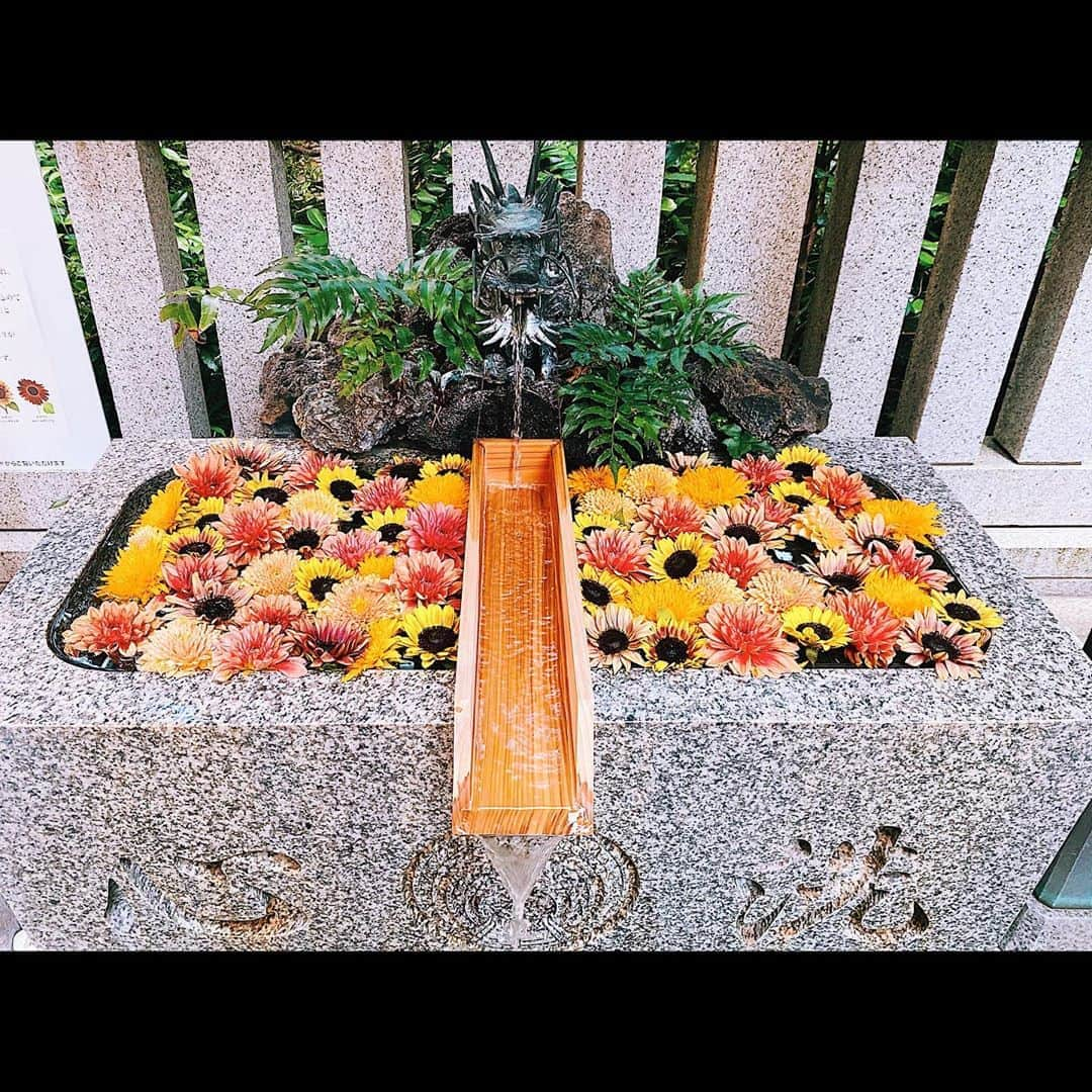 平祐奈さんのインスタグラム写真 - (平祐奈Instagram)「【福徳神社】  今日ではさまざまな神社さんで手水舎が工夫されていて思わず立ち止まって眺めてしまいます。  禊を簡略化した儀式である手水舎。 お参りする前に身も心も清めて清々しい気持ちになれるので境内の好きな場所の一部でもあります💧  水がないと生きていけない、、 毎日水に頼って生きている。 小学校の授業でもお水がどんなに大切か学んだ事を思い出します、、！  福徳神社さんでは祝詞書写の企画もされていて粋なお計らい、、素敵☘️  平穏な日常に1日でも早く戻りますよう私も心を込めて浄書して奉納しようと思います。  #祐奈の神社日記 #福徳神社 #日本橋」9月1日 18時53分 - yunataira_official