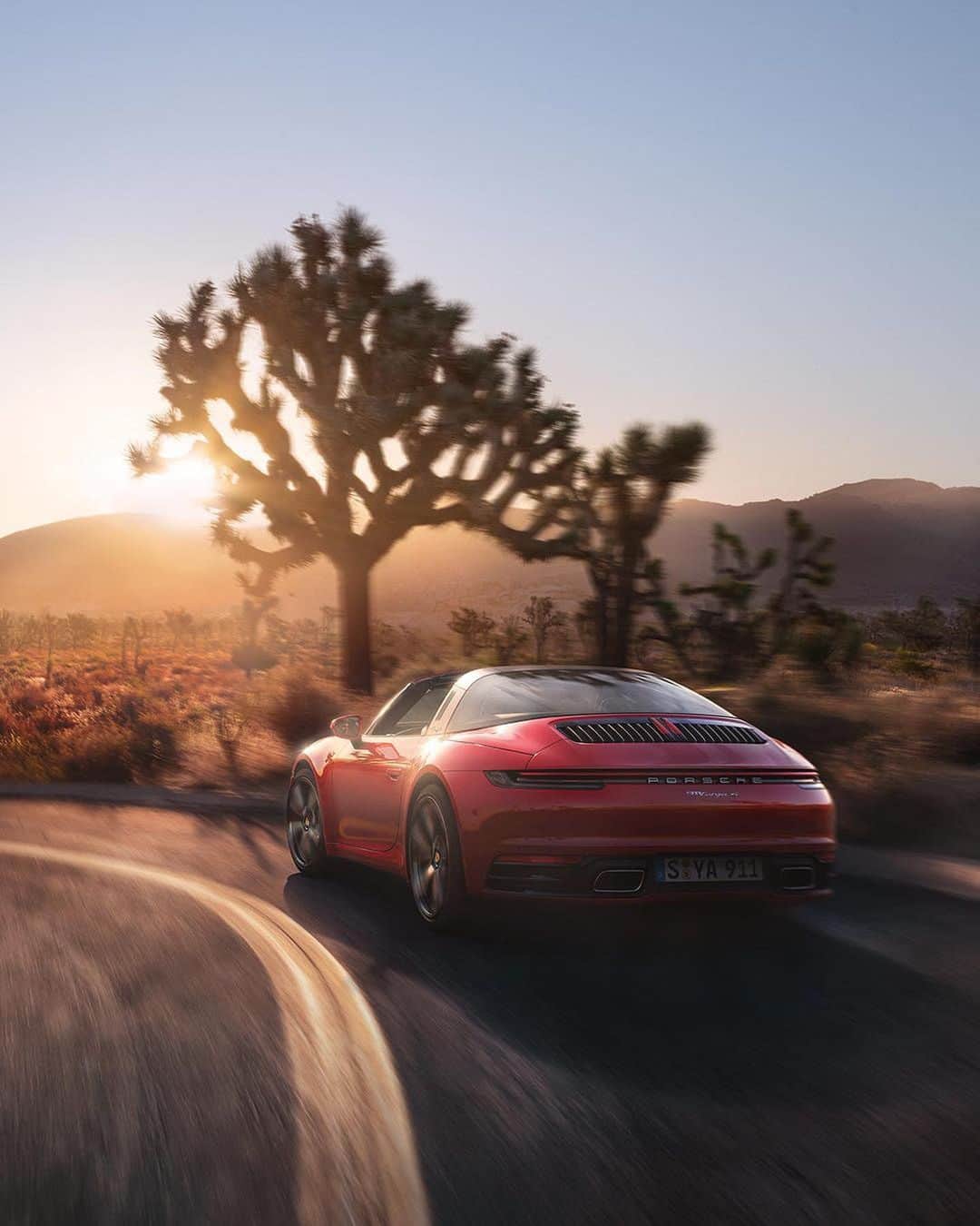 Porscheさんのインスタグラム写真 - (PorscheInstagram)「The Joshua Tree grows nowhere but in the Mojave desert – best marvelled at from underneath. Swipe to discover the #TargaPointOfView __ 911 Targa 4: Fuel consumption combined: 9,8 l/100 km; CO2 emissions: 223 g/km. 911 Targa 4S: Fuel consumption combined: 9,9 l/100 km; CO2 emissions: 227 g/km.  https://porsche.click/DAT-Leitfaden」9月1日 18時57分 - porsche