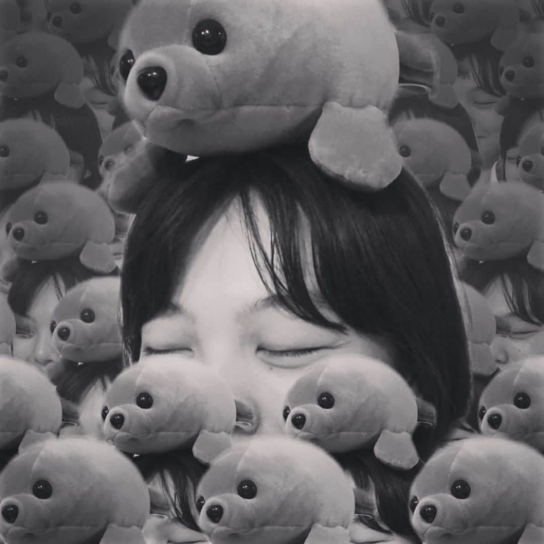 上原実矩さんのインスタグラム写真 - (上原実矩Instagram)「月初め。今日から新入り。一緒に寝る。 よろしくよろしく。 #アザラシセンパイはお嫁に」9月1日 19時03分 - miku_uehara