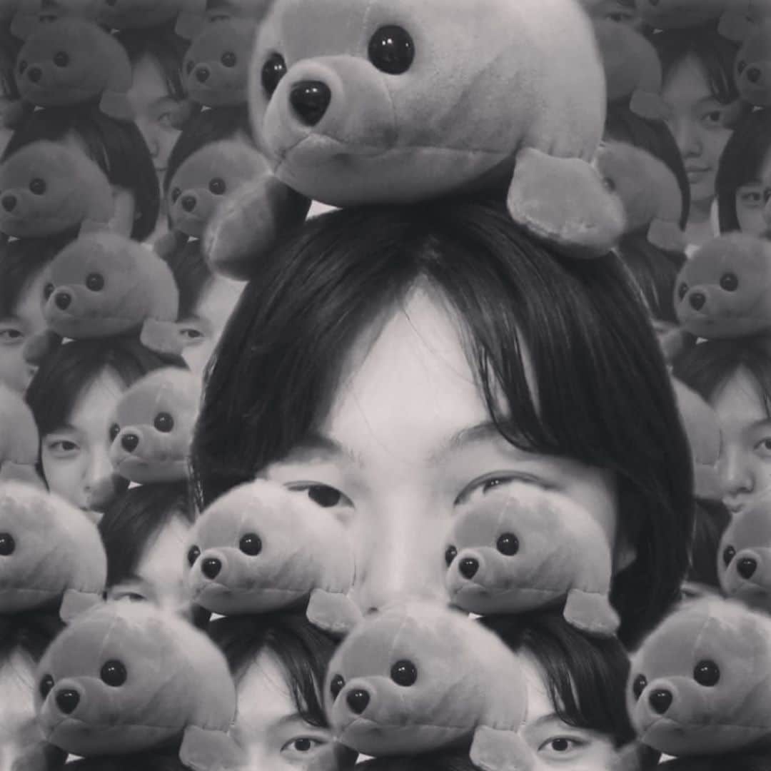 上原実矩のインスタグラム：「月初め。今日から新入り。一緒に寝る。 よろしくよろしく。 #アザラシセンパイはお嫁に」