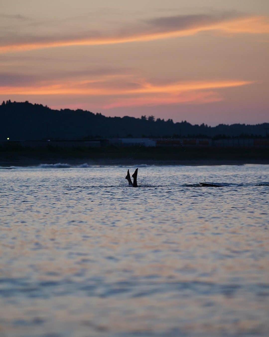 田岡なつみのインスタグラム：「🧜‍♀️🌙  #surfing」