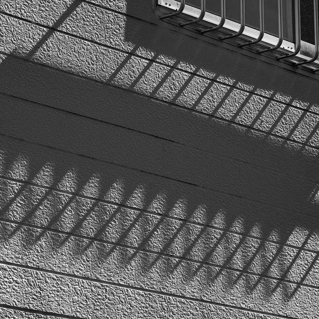 naotakeのインスタグラム：「窓 - A window / X-T2 & Snapseed, 20200902 . . さかなづいている最近のお昼。今日はカツオのたたきに舌鼓。 . . #spicollective #royalsnappingartists #infamous_family #rsa_main #infinity_photo_cult #2_fineart #jp_gallery_member #jp_gallery_bnw #trb_bnw #wp_bnw  #bnw_life #bnwlife_member #bnw_life_shots #bnw_captures #world_bnw #top_bnw #team_jp_ #team_jp_モノクロ #ig_energy_bw #ig_nihon #streetphotographybnw #igersjp #blackandwhite #bnw #bnwphoto #monochrome #bw #bnwphotography #今日もx日和 #fujifilm_xseries」