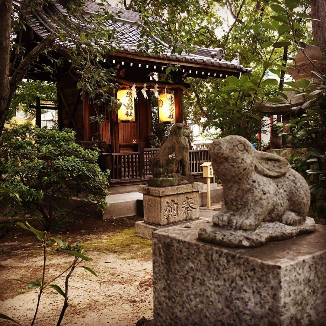 宮田麺児さんのインスタグラム写真 - (宮田麺児Instagram)「本日　天赦日。 日の出を浴びに氏神様へ みなさまにも お裾分け。  #パワースポット #パワースポット巡り #氏神様  #豊崎神社 #鹿島神社 #えびす神社 #巌島神社 #東照宮 #稲荷神社 #天赦日」9月2日 6時24分 - miyatamenji