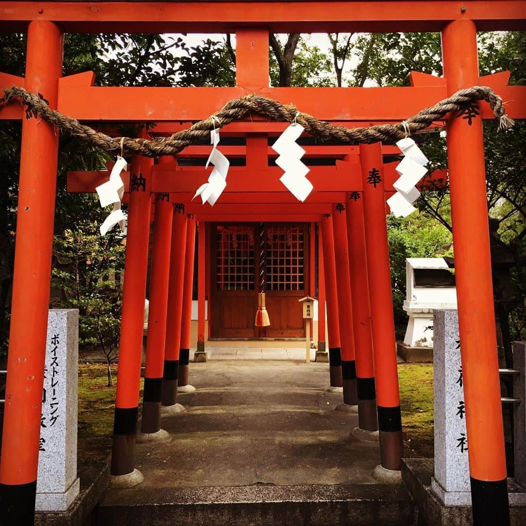 宮田麺児さんのインスタグラム写真 - (宮田麺児Instagram)「本日　天赦日。 日の出を浴びに氏神様へ みなさまにも お裾分け。  #パワースポット #パワースポット巡り #氏神様  #豊崎神社 #鹿島神社 #えびす神社 #巌島神社 #東照宮 #稲荷神社 #天赦日」9月2日 6時24分 - miyatamenji