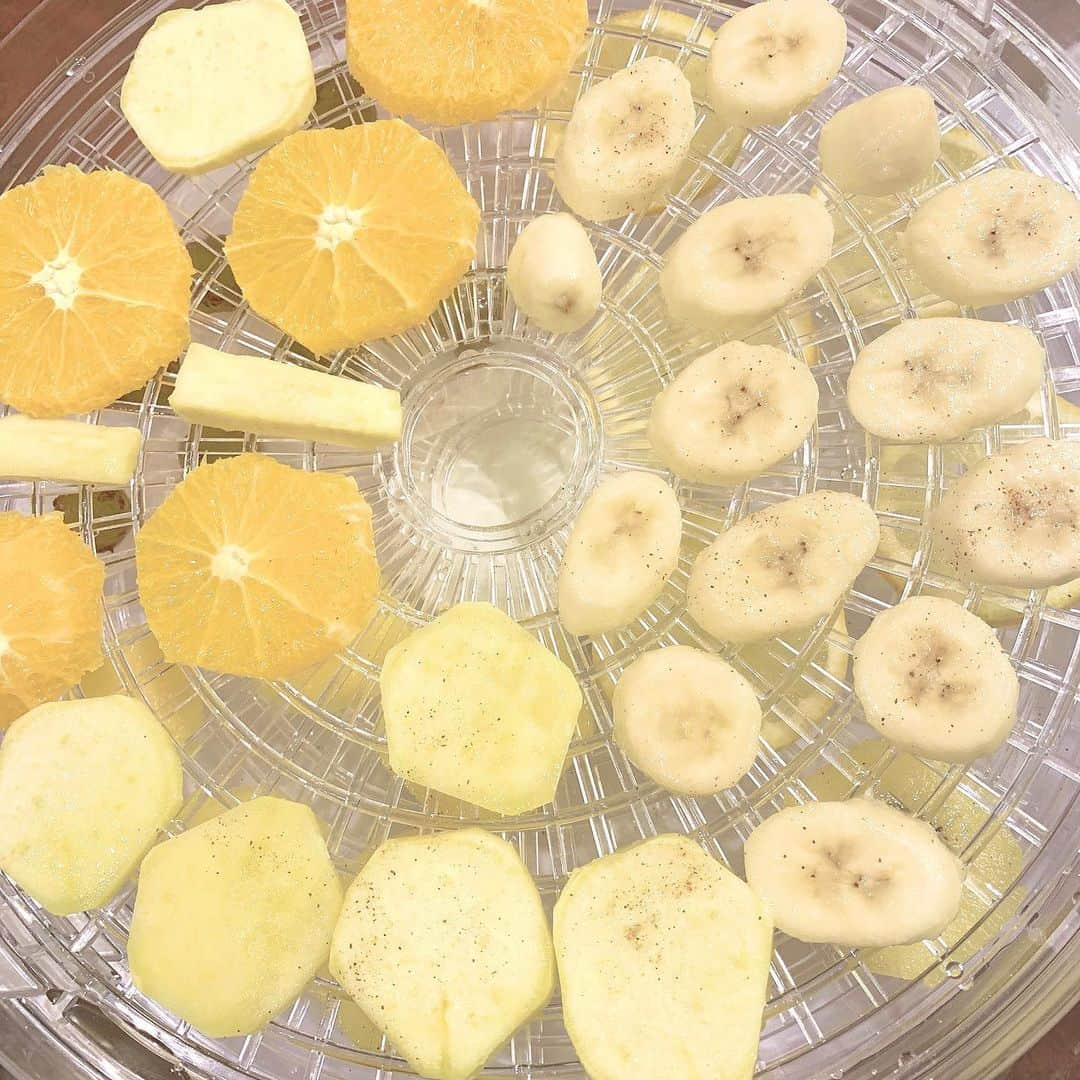 岡本怜奈さんのインスタグラム写真 - (岡本怜奈Instagram)「♡﻿ 🍎🍊🍋🥝🍌🍇🍅🍠🥓🥩﻿ ﻿ #フードドライヤー ﻿ ﻿ ﻿ フルーツ系とおつまみ系で作ってみた〜〜😋﻿ ﻿ ﻿ 最初はわんちゃんのおやつづくりのために﻿ ゲットしたんだけど、﻿ 食べてみるとすごく美味しくて、﻿ それから色々挑戦して作ってるよ🥣﻿ ﻿ ﻿ だいたい、6時間〜10時間ぐらいかかるので、﻿ 寝る前にフルーツとか入れてスイッチON！してたら、朝は台所からいい匂いがして、happy🤤💕﻿ ﻿ 【乾燥させたもの】﻿ ﻿ ｢フルーツ系｣﻿ ﻿ 〇アップル(シナモンがけ）﻿ 〇レモン﻿ 〇オレンジ﻿ 〇キウイ﻿ 〇バナナ﻿ 〇ぶどう﻿ 〇トマト﻿ 〇さつまいも﻿ ﻿ ｢おつまみ系｣﻿ ﻿ 〇牛肉(厚切りと薄切り）﻿マジックソルトで下味 〇ベーコン(厚切りと薄切り)﻿ 〃 〇鶏皮﻿ 〃 〇塩鮭﻿ 〇マグロ﻿  だし醤油で下味 〇ホタテ﻿ 〃 〇タコ﻿ 〃 〇タラコ﻿ 〇イカの塩辛﻿ 〇カニカマ﻿ 〇こんにゃく﻿  焼肉のタレで下味 ﻿ 全部すごくおいしかったんだけど、﻿ れなのお気に入りランキング は、﻿ 🥇イカの塩辛﻿ 🥈薄切りベーコン﻿ 🥉ぶどう﻿ かな〜(*´ч`*)💖﻿ ♡﻿ ♡﻿ #岡本怜奈 #れなたん #nmb48 #ドライフルーツ﻿ #ビーフジャーキー #乾燥焼肉 #手作りおやつ﻿ #happy #Instafood #Instagood﻿」9月1日 21時32分 - renatan1222