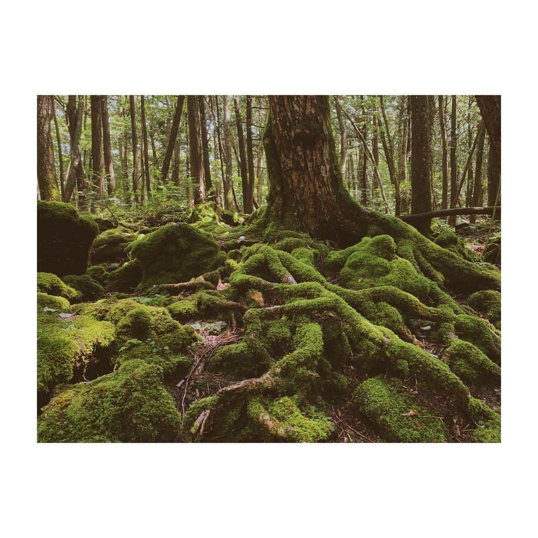 中井ノエミのインスタグラム：「🧃🧃🧃  . #和歌山」