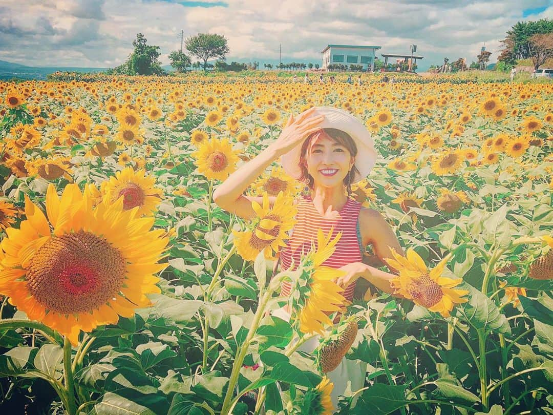 渡辺由布子さんのインスタグラム写真 - (渡辺由布子Instagram)「🌻  2018.08.31 ENDLESS SUMMER  いつもと違う夏。 今年の夏は諦めたことが多くて、 どこか不完全燃焼。 まだ終われない気分。  (なので9月末に夏休みを取る予定♡)  #夏をあきらめられなくて #TUBE  #ひまわり畑  #明野ひまわり畑  #向日葵 #サンフラワーフェス  #死ぬまでに行きたい日本の絶景  #HelloSeptember #summer  #sunflower  #flowerfields  #tbt🔙📸   📍 #Hokuto #Yamanashi #🇯🇵」9月1日 22時07分 - watanabe_yuko