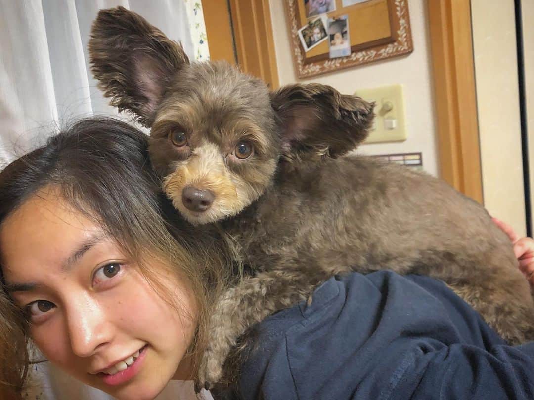 尾島知佳のインスタグラム：「👩🏻🐶 #おんぶデビュー #愛犬との暮らし #幸せな時間 #ちわぷー #可愛すぎる💓」