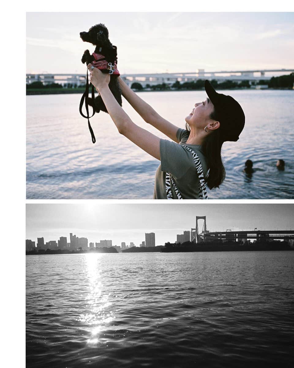 のインスタグラム：「#2020summer #filmphotography #summertimemagic 🌻📷🎞」