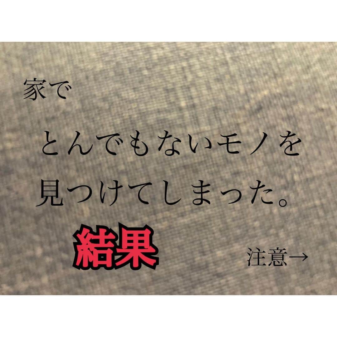 のインスタグラム：「. 昨日の結果です…。 . . . . 皆様本当にご丁寧に教えて頂きありがとうございました😭‼︎ . . . 『嘘だと言ってくれ』と 本気で思いましたが… しっかりこの事実と向き合います。 . . いつか起きるであろうつがいの発見。 掃除・対策の懸命さ。 . . . 想像して頂ければ幸いです。 . . くぅぅぅ😭 まじ『ぴぇん』です‼︎」
