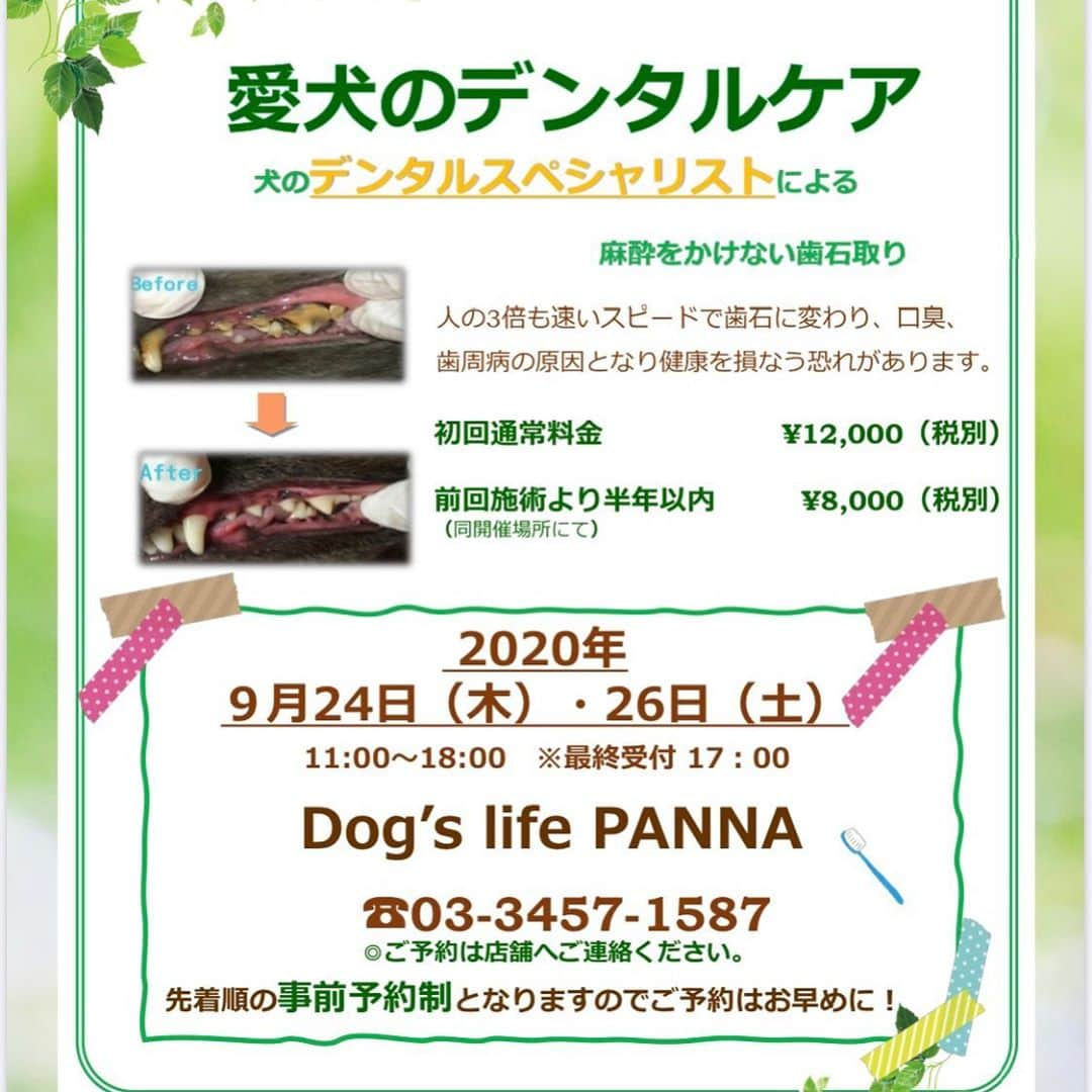 Dog's Life PANNAさんのインスタグラム写真 - (Dog's Life PANNAInstagram)「🎀🐶パンナ通信🐶🎀  🦷歯の専門家さんにお越しいただきます🦷 おうちのケアでは追いつかなかった歯石たちをスッキリ綺麗に✨✨身体への負担をかけずストレスなく、エナメル質を傷つけないように丁寧におこないます💎 大切な歯を守り元気いっぱい長生きしましょう💓☺️ ご予約は先着順になります。 お早めにお問い合わせくださいませ🥰  #いきなりの #パンナ通信🐶🎀 #4カ月ぶりの更新 #おサボしていましたが #また少しづつ記録します📝  #パンナ #ドッグズライフパンナ #トリミングサロン #トリミング #ペットホテル #ペットショップ #デンタルケア #歯石とり #東京 #麻布十番 #犬バカ部 #ふわもこ部#dogslifepanna  #panna  #puppy #dogstagram #petstagram #dog #tokyo」9月1日 22時52分 - panna0313