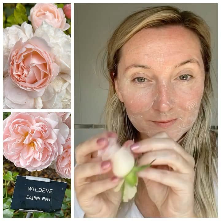 JO BAKERのインスタグラム：「T R E A T • Y O U R S E L F  Buy a couple organic roses and incorporate them into a home facial... I used them as a soothing softening barrier on top of @weleda_usa #renewingnightcream ...then massaged the organic rose petals on top of my skin for the softest dreamiest most lux sensory treat I’ve ever felt on my face!! #jobakermakeupartist still #dancingonnyown at home and playing with #skincare and makeup !! #weledapartner #weledaskin」