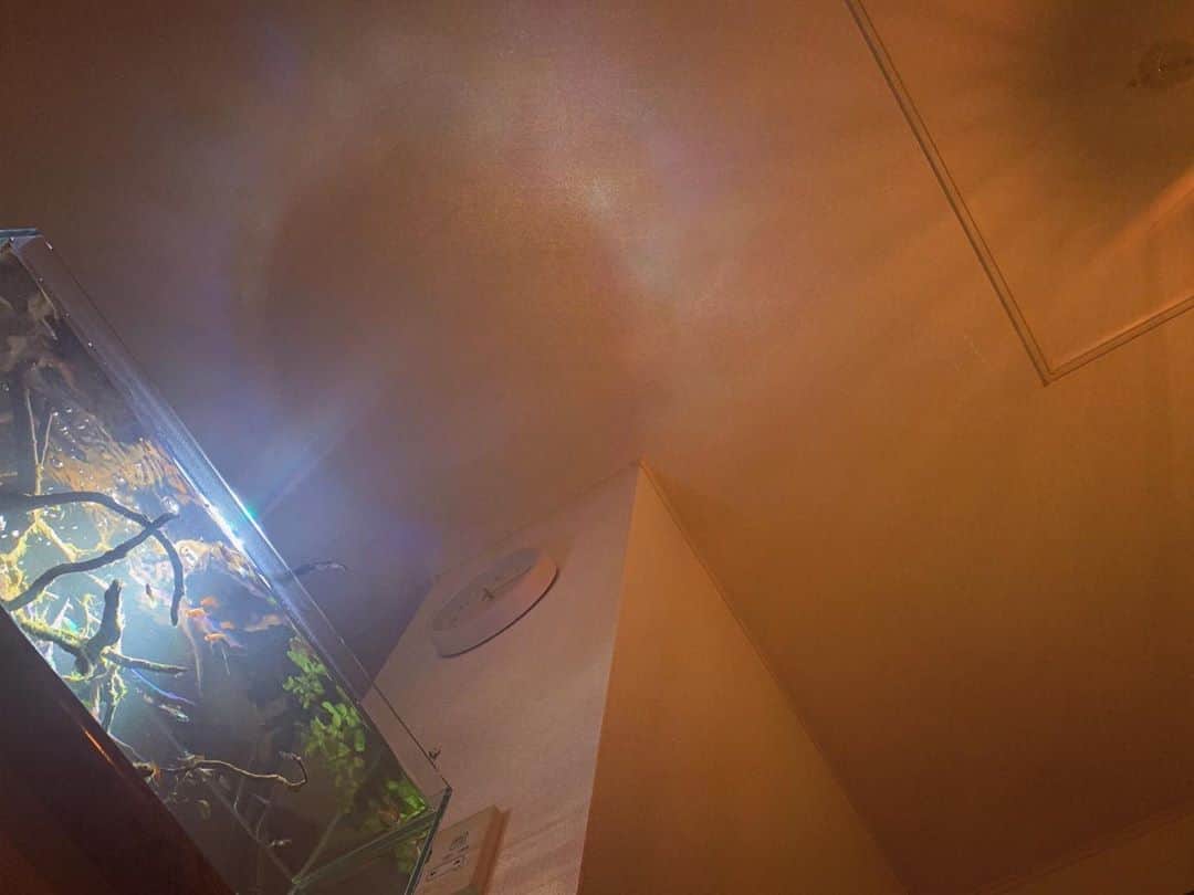 高松雪乃さんのインスタグラム写真 - (高松雪乃Instagram)「天井綺麗だなぁ✴︎🐟」9月1日 23時24分 - yukinotakamatsu