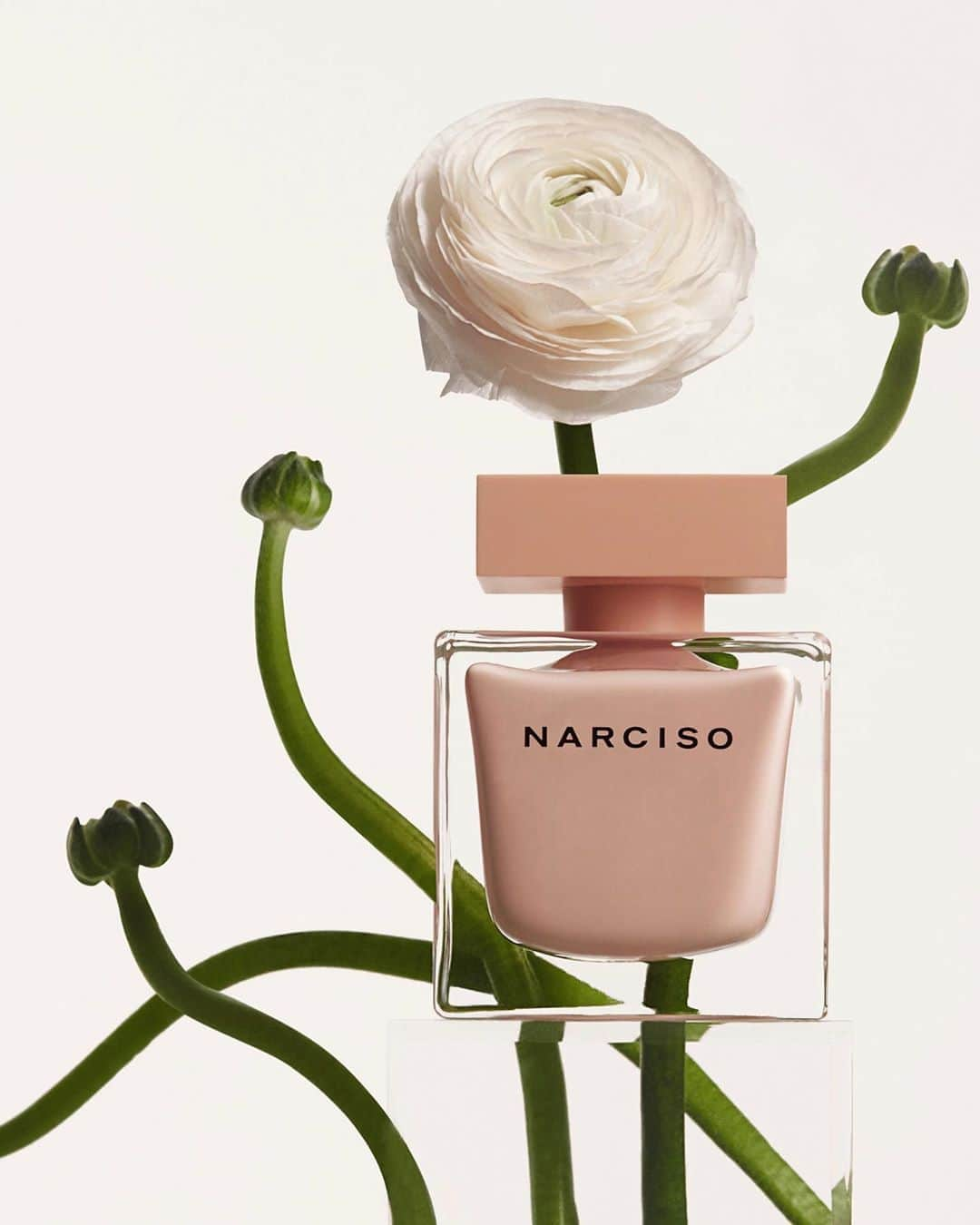 ナルシソロドリゲスさんのインスタグラム写真 - (ナルシソロドリゲスInstagram)「NARCISO eau de parfum poudrée: signature musc, exquisite white jasmine, Bulgarian rose, and vibrant hints of vetiver and cedars create a powdery seduction. #poudree #narcisopoudree #narcisorodriguezparfums #parfum #fragance」9月1日 23時45分 - narciso_rodriguez