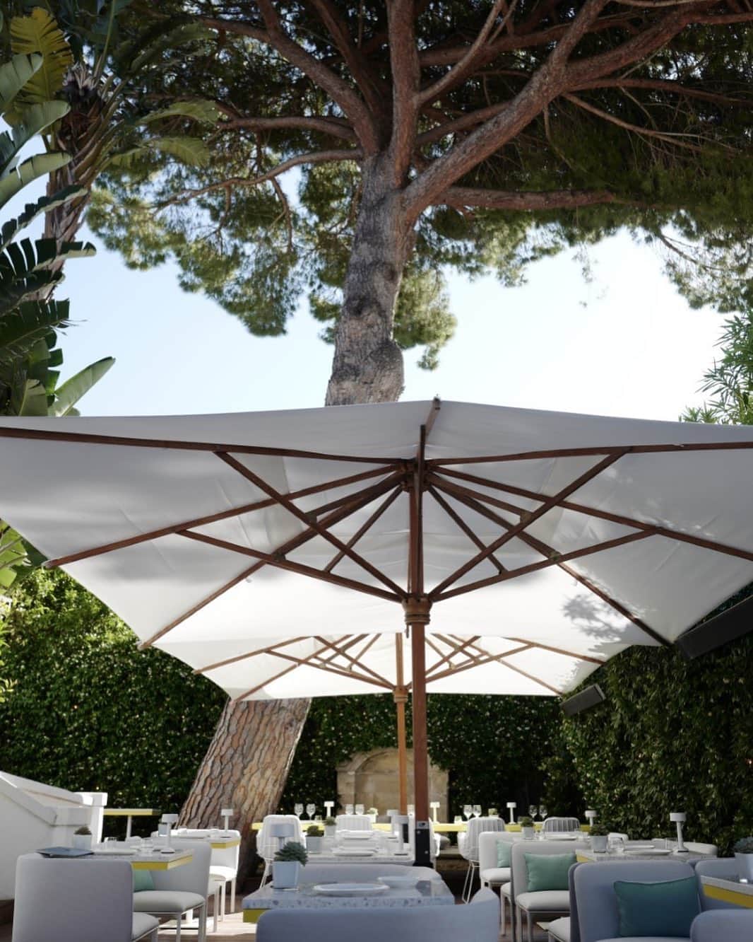 のインスタグラム：「Wherever you are, experience a special getaway through the summery spirit of our Maisons. Artist Pharrell Williams (@pharrell) and chef Jean Imbert (@jeanimbert), as long-time friends, are launching a brand new café-restaurant concept: To Share at @white1921sttropez. The menu and the setting are both inspired by street food classics, reinterpreted according to the universe of the two artists: the art of sharing and the pop culture. Discover the first To Share on Place des Lices, at White 1921 Saint-Tropez. #LVMH」