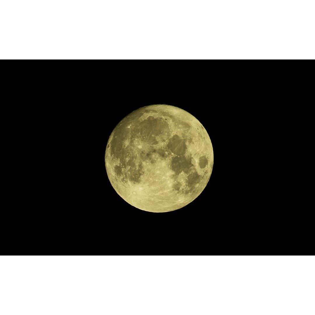 YUNA（芳森由奈）さんのインスタグラム写真 - (YUNA（芳森由奈）Instagram)「. 満　🌕　月 . 家から撮れた満月、(ほんとは明日みたいだけど)みんなにいいことがありますように。 #ハーベストムーン」9月2日 0時21分 - yoshimoriyuna