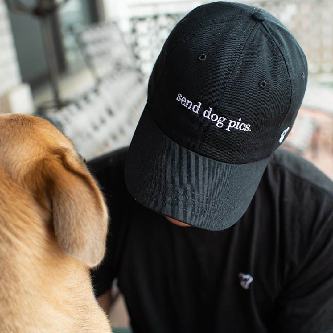 The Dogistさんのインスタグラム写真 - (The DogistInstagram)「We are launching… AN AUDIENCE DESIGNED HAT! We had so much fun making our Dogist dogs t-shirt with you, we wanted to keep the momentum going! You will be voting for the phrase that will be embroidered on the hat AND the color of the hat, with a product launch on Friday. Voting will take place on IG stories and will begin TOMORROW at 12pm EST. But first… we need some phrases! Comment below a dog-ified saying and we will choose our top six favorites for you to vote on. GET COMMENTING!」9月2日 1時00分 - thedogist