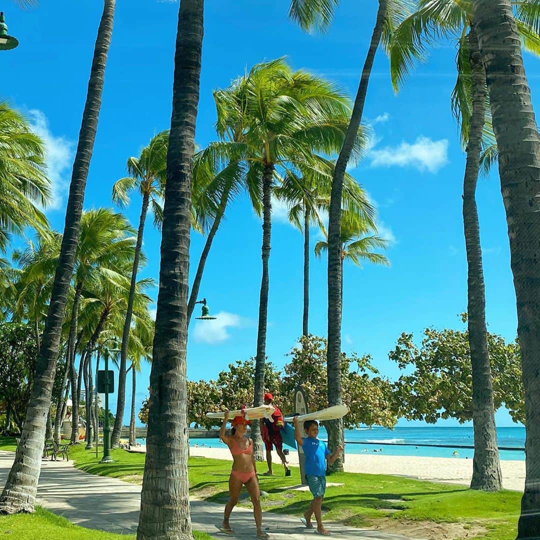 マキ・コニクソンさんのインスタグラム写真 - (マキ・コニクソンInstagram)「Lockdown Day 6 ハワイからおっはよ！🤙🏼 朝からご機嫌のハワちゃん！😁 今年のハワイの夏はほとんど毎日晴れてる。☀️😎 そして蒸し暑くなくて快適！👍🏼  朝のワンズのお散歩を終了！🐩🐩 Mission Completed! 👍🏼 そして私が大好きなサーファー達を発見！ 私はサーファーと言うよりサーフボードをかかえてるサーファー達を見るのが好きなんです！🏄‍♀️🏄🏄‍♂️ ホント絵になる！👌🏼  今日もお互いAlohappyで元気バリバリに 過ごそうね！😊笑顔が一番！😄 #エアハワイ🌺  #リアルハワイ #alohappy😄🤙🏼」9月2日 4時15分 - makikonikson