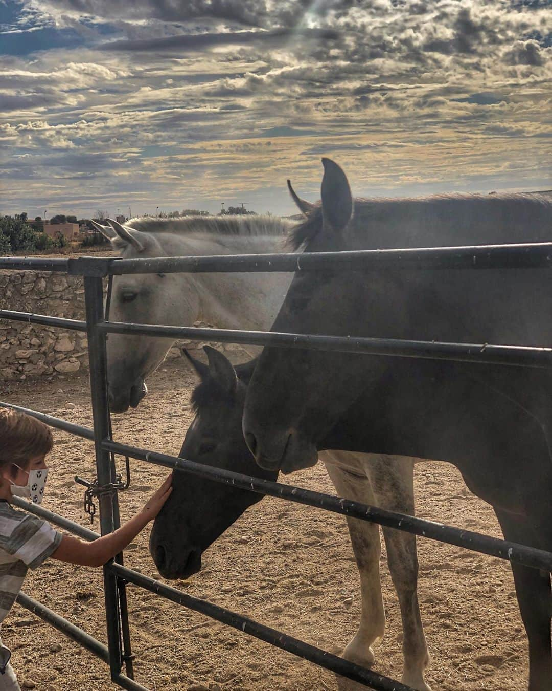 サラ・カルボネロさんのインスタグラム写真 - (サラ・カルボネロInstagram)「S e p t i e m b r e 🌾 . #díasbonitos #elpoderdeunacaricia」9月2日 4時53分 - saracarbonero