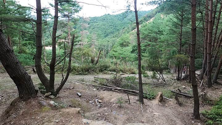 黒山健一のインスタグラム