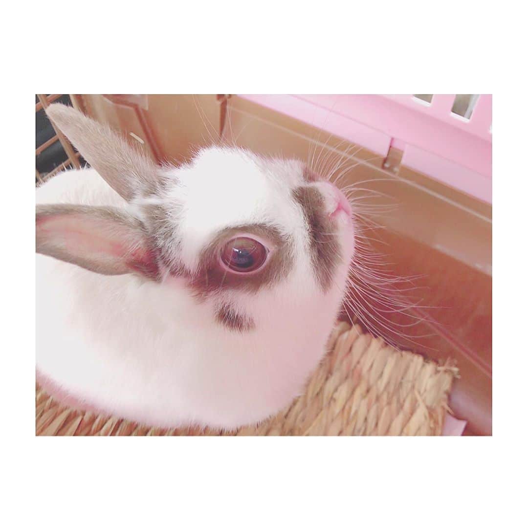 橋本陽菜のインスタグラム