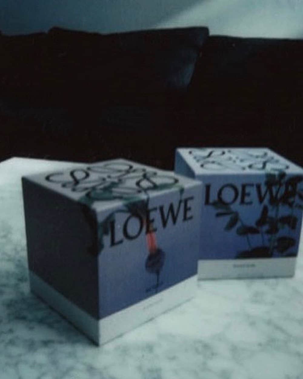 ローラさんのインスタグラム写真 - (ローラInstagram)「My favorite vegetable candles by @jonathan.anderson @loewe 🌿🌱🕯 ベジタブルガーデンのローエッセンスが入っているキャンドル。おいてあるだけで、トマトやビーツの美しい香りがお部屋に広がってきもちい😊 #LOEWEperfume」9月2日 6時50分 - rolaofficial