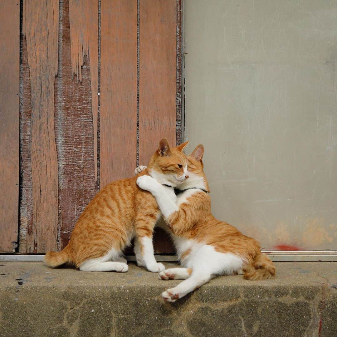 のインスタグラム