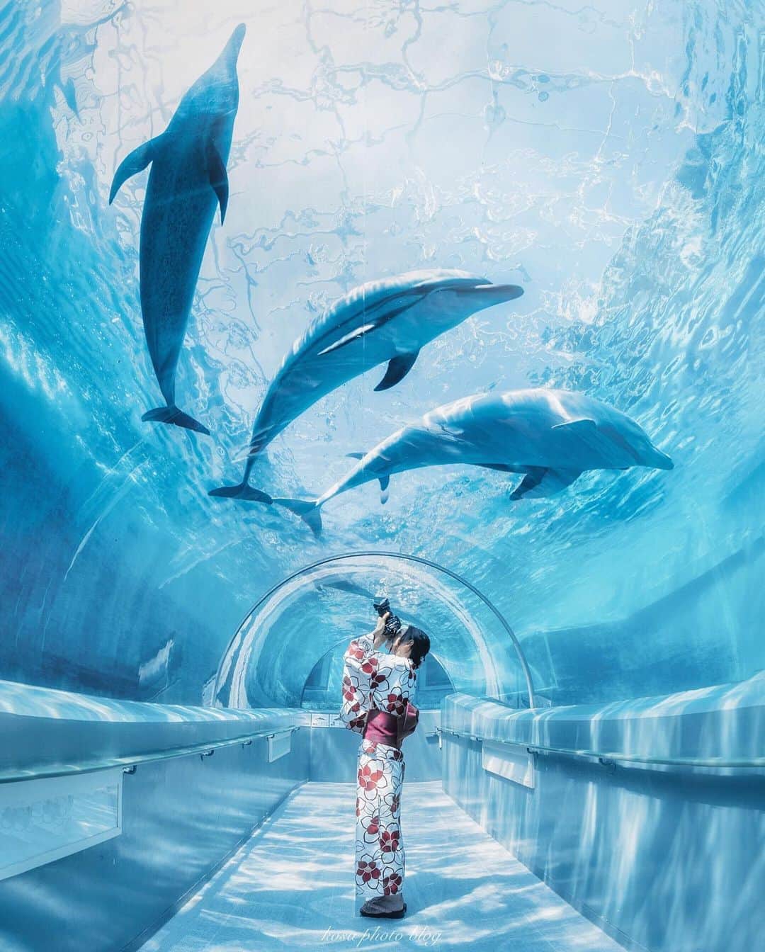 のインスタグラム：「あまりに暑いので水中へ 冷房が効いてると勝手に思い込んでた… 換気のためにオープン😇 日差しは防げるが蒸し暑さとの戦い😵 . Location:和歌山 Wakayama / Japan🇯🇵 Date:2020年8月 . #くじらの博物館 #浴衣 #ポトレ撮影隊 #screen_archive #good_portraits_world #HUEART_life #as_archive #jp_portrait部 #jp_mood #reco_ig #season_girls_collection #TandDフォトコンテスト2020 #discover #今こそ写真でつながろう #パワーフォト部 #insta_wakayama #グッドトリップ和歌山 #かつらぎーの #art_of_japan_ #tokyocameraclub #dpj_member #IG_PHOS #photo_jpn #ptk_japan #pt_life_ #bestjapanpics #s_shot #広がり同盟メンバー #sorakataphoto #Rox_Captures」