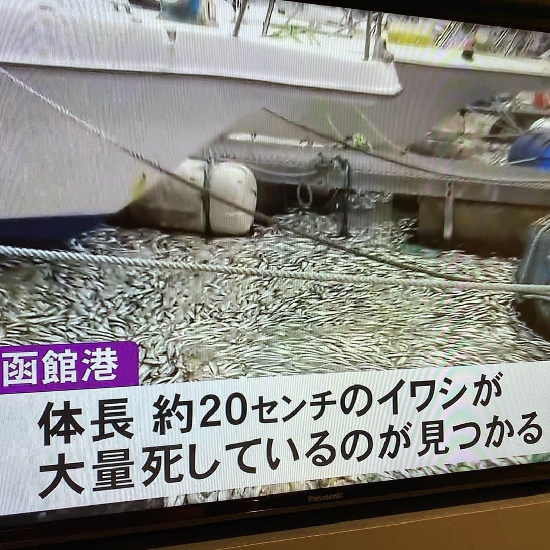 カンニング竹山さんのインスタグラム写真 - (カンニング竹山Instagram)「北海道のニュース！ なんか怖い。」9月2日 9時14分 - cunningtakeyama