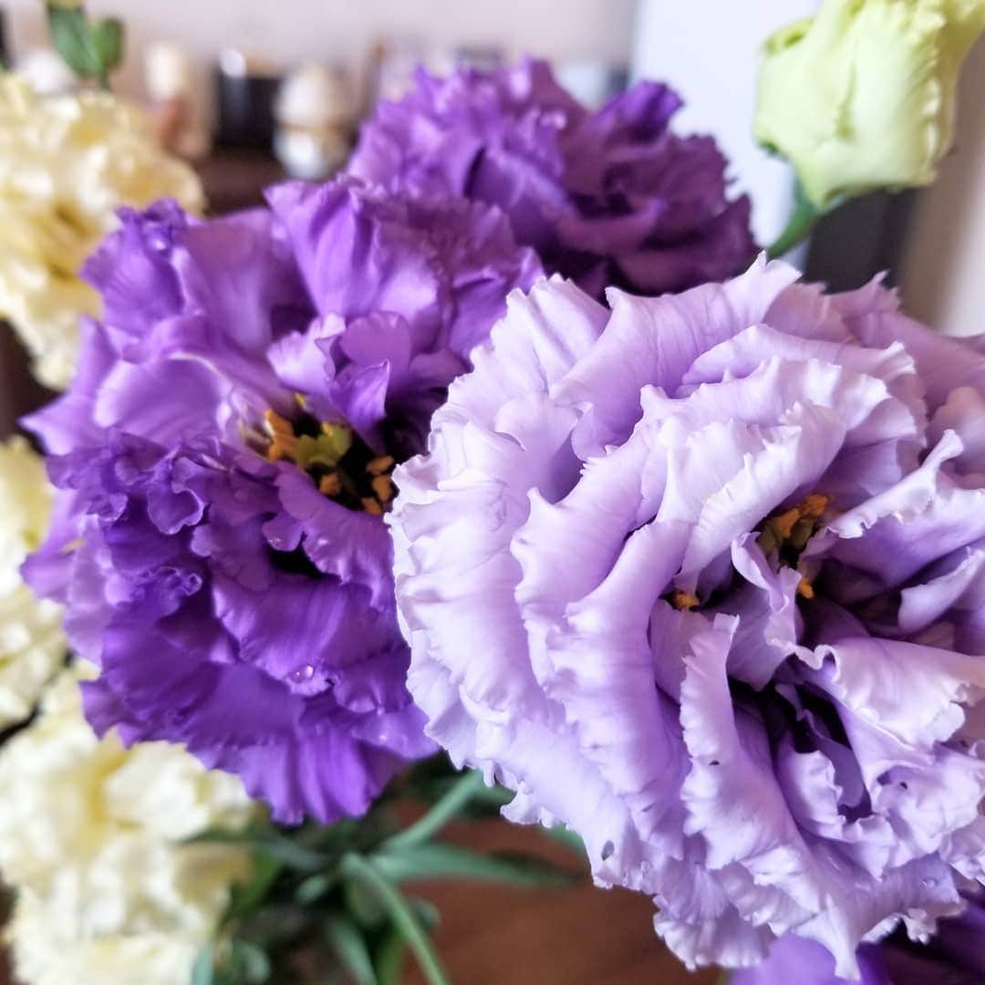 前園真聖さんのインスタグラム写真 - (前園真聖Instagram)「紫の花が素敵なトルコキキョウ😊 #トルコキキョウ  #花のある生活  #花」9月2日 9時23分 - maezono_masakiyo