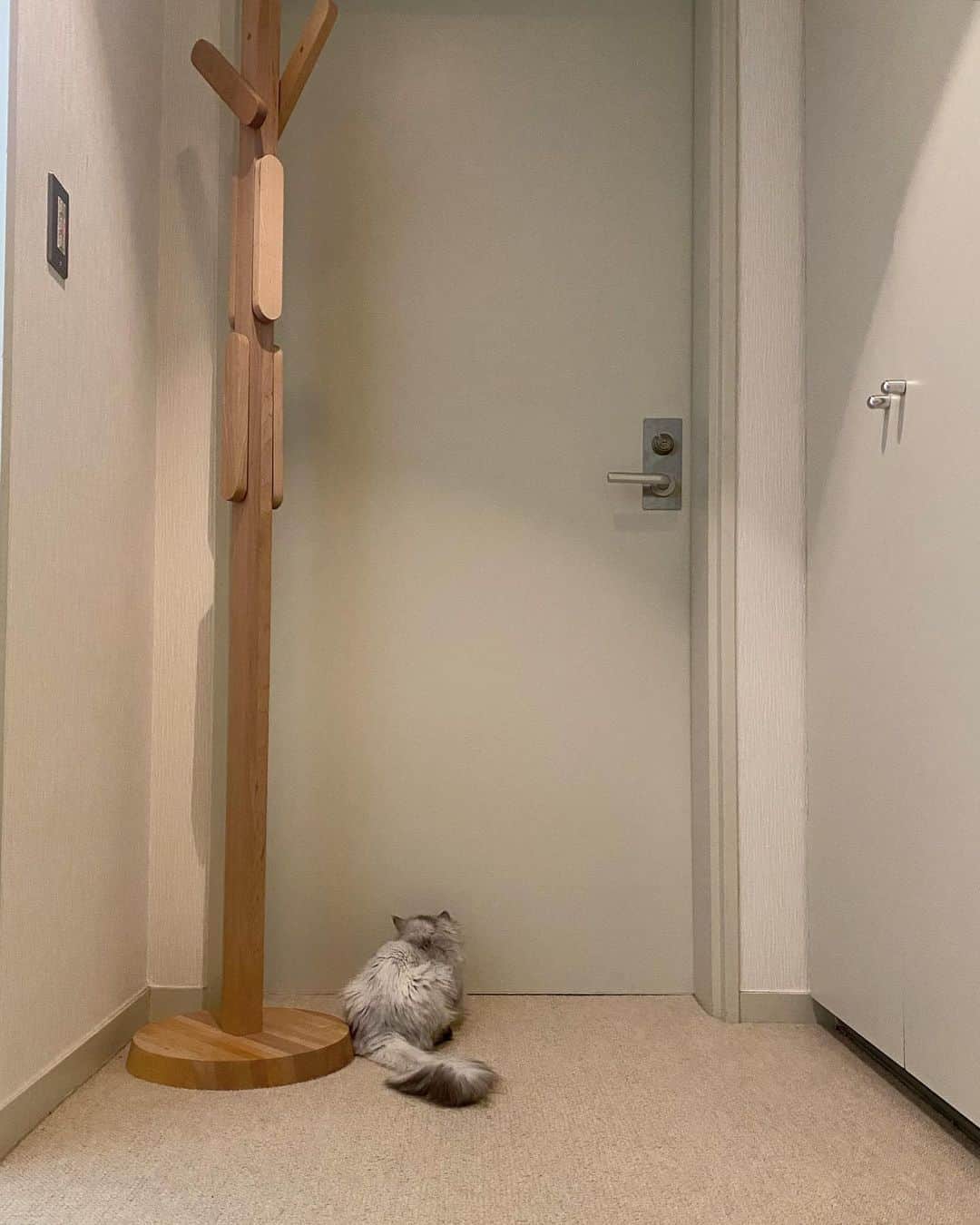 Takayuki Konoのインスタグラム：「ドアの向こう。 I used be lived at the other side of the 🚪」
