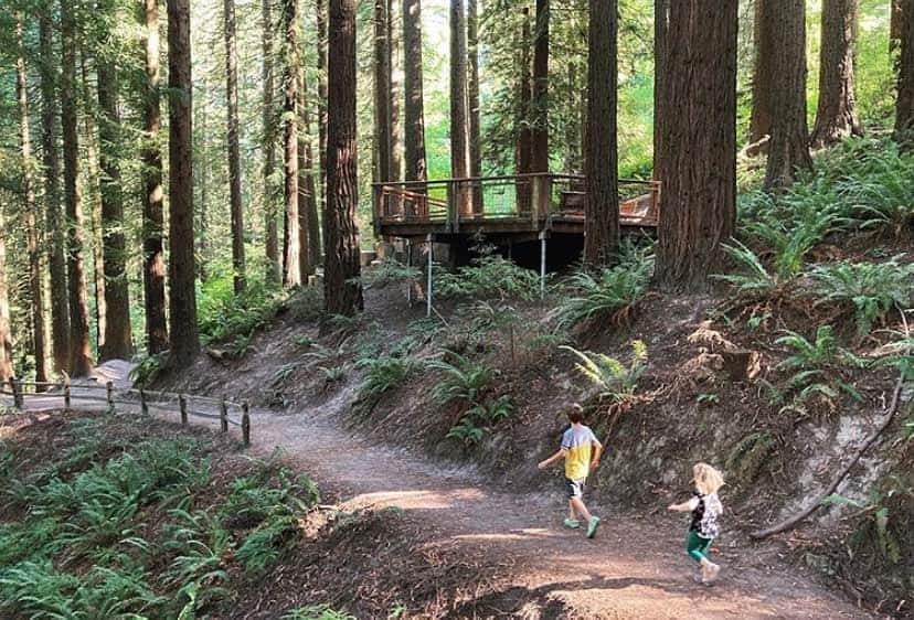Portlandさんのインスタグラム写真 - (PortlandInstagram)「#TriviaTuesday Founded in 1928, the Hoyt Aboretum is home to 2,300 species of trees and plants from all over the world! Only a few minutes outside of the downtown area, this living museum is a perfect escape from the city. 🌲🌿 - 📷: @nutsandboltsphoto  #Portland #PortlandNW #OregonNW #PDX #Summer」9月2日 9時32分 - portland