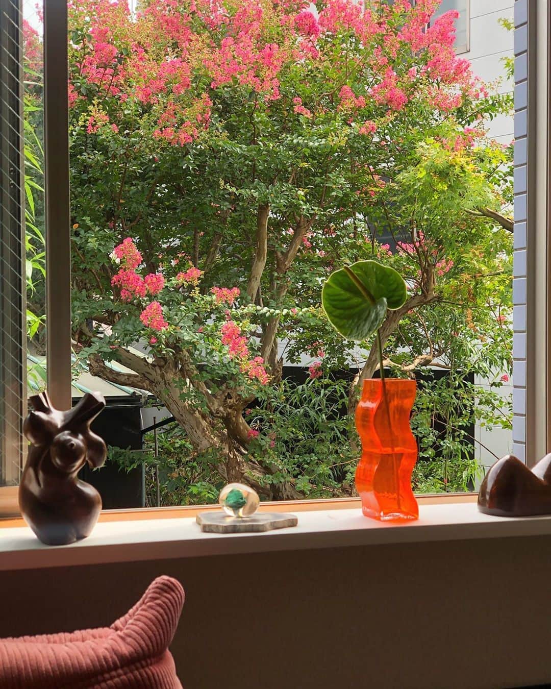 のインスタグラム：「百日紅が満開。  部屋からこの景色が見えるなんて幸せ♡  #百日紅 #myroom」