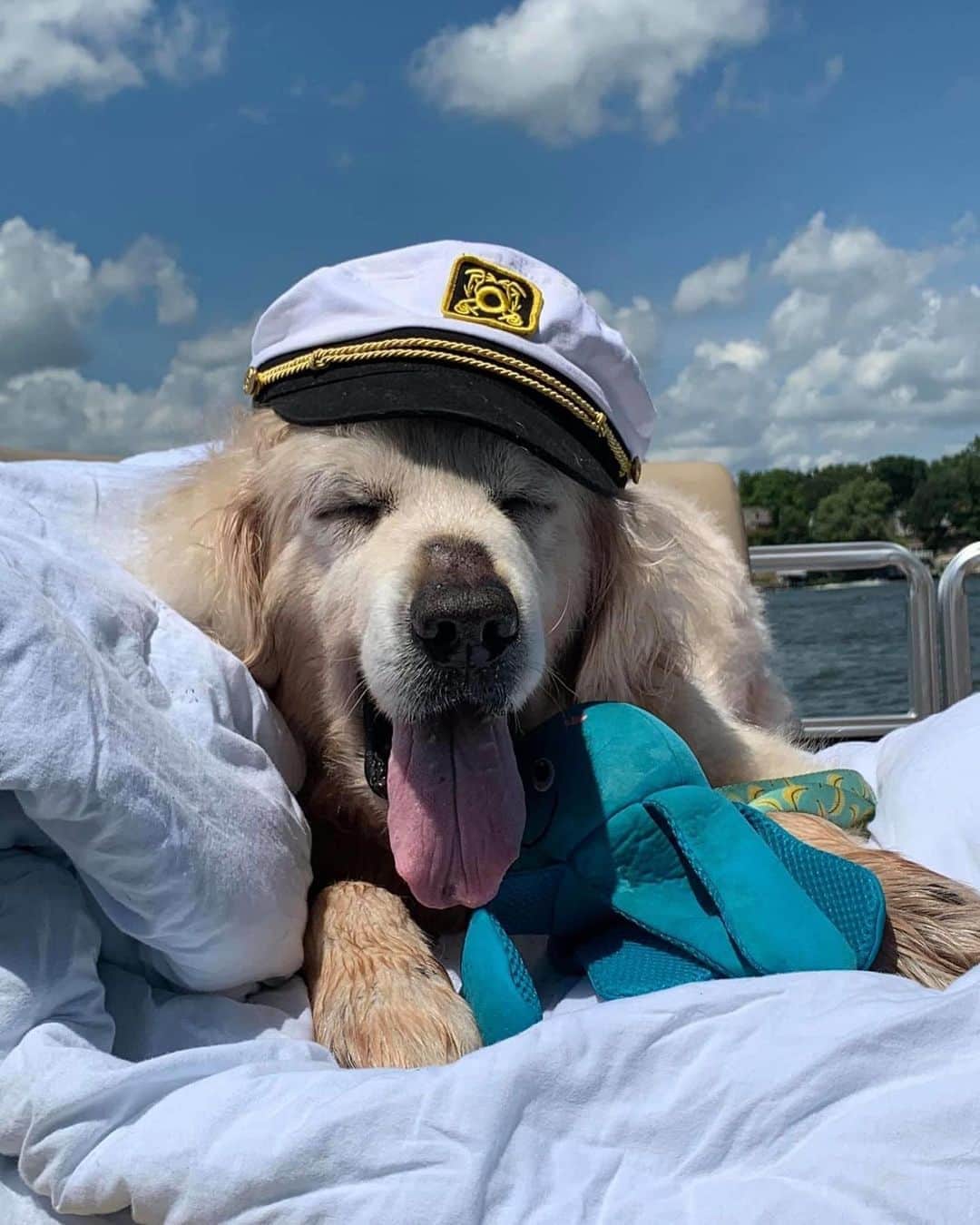 People Magazineさんのインスタグラム写真 - (People MagazineInstagram)「Theo the golden retriever may be terminally ill, but that isn't stopping him or his foster family from crossing off bucket list items, one adventure at a time. ❤️ Although his new owners don't know how long Theo has left to live, they're making his last days count with beach trips, movie nights and drive-thru burgers. 🐶 Tap the link in our bio for the full story. 📷: Jenny Leech, Stacy Tierman Photography」9月2日 10時01分 - people