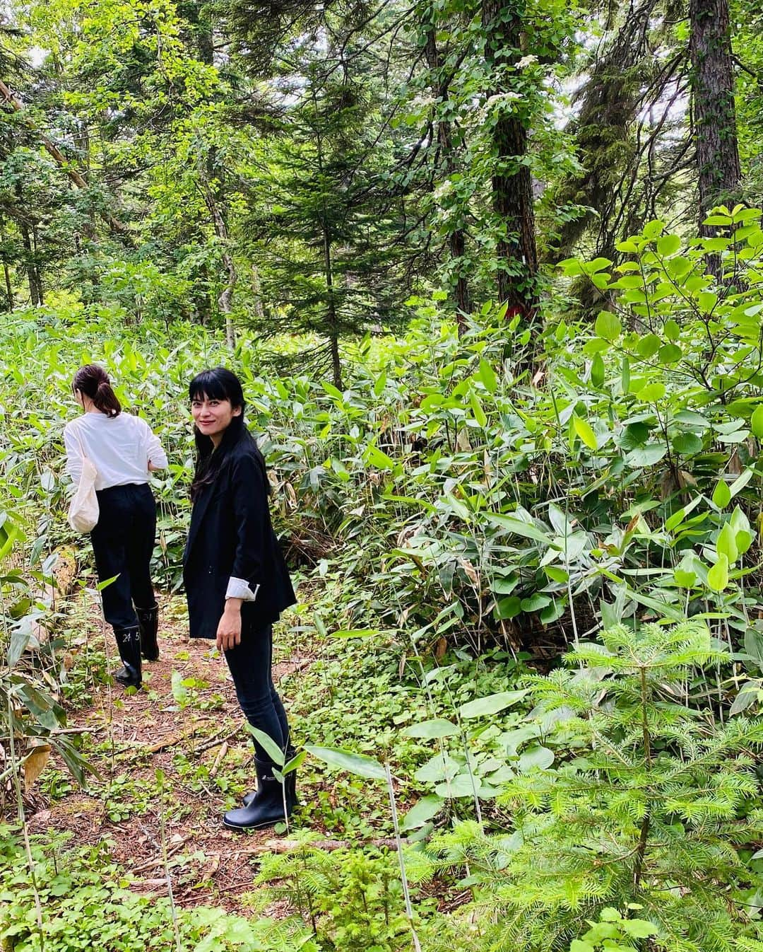 八木早希さんのインスタグラム写真 - (八木早希Instagram)「北海道の森で学んだ事 「倒木更新」  命尽き倒れた木の 朽ちるまでの最期の役割、 次世代の種が命を繋ぐ礎になる事  森では、単にバトンを渡すだけでなく、 自らが次世代の土壌になる事を 「世代交代」と呼ぶ  倒木の上に命芽吹かせた 生命のアートこそ「多様性」  そして 成長が許された若い木の根本にできる 「空洞」が礎であった証  #倒木更新#森#木#北海道大学#北海道#柴咲コウ#レトロワチャンネル#hokkaido#命の授業」9月2日 15時58分 - sakiyagi