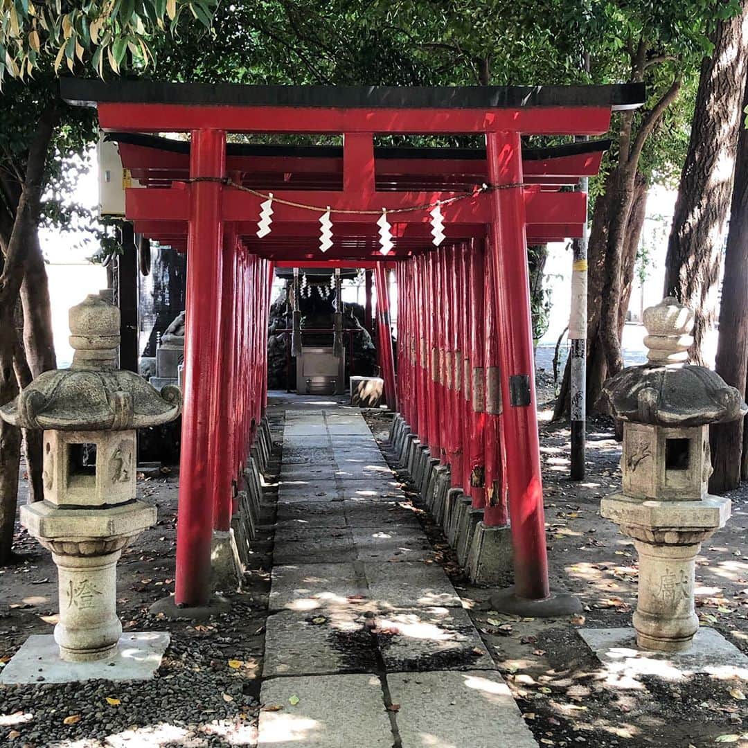 のインスタグラム：「神社。」