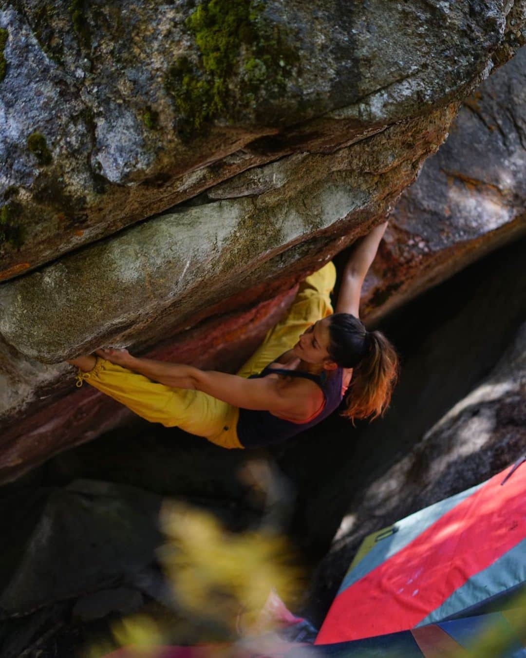 Alexis Mascarenasのインスタグラム：「Almost perfect conditions on Independence Pass 🤍 I didn’t know it was possible to get 4 flappers on a single go though...  With 📸 @a.geiman and @thique_nicc   #babyhands #colorado #bouldering #climbing」