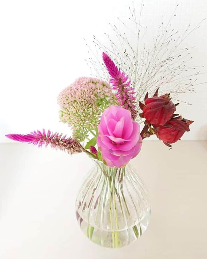 Bloomee LIFEさんのインスタグラム写真 - (Bloomee LIFEInstagram)「見た目が個性的な花々も、シンプルにガラスの花瓶に⠀ 生けるだけで素敵なインテリアになります💐⠀ ⠀ ガラスのベースはシンプルで、⠀ どんなタイプのお花でも合うのが嬉しいポイント🌹⠀ ⠀ シックな色を取り入れて、⠀ これからやってくる秋を⠀ 暮らしの中でも、楽しんでみませんか？⠀ ⠀ @teru_tomo4 さんのお写真⠀ ⠀ #bloomeelife#ブルーミーライフ#お花の定期便#プチブーケ#サブスク#花のある生活#花好きな人と繋がりたい#おうち時間#花部#花写真#花が好き#花を飾る#暮らしを楽しむ#日々の暮らし#丁寧な暮らし#日々#お花のある暮らし#素敵な休日#暮らしを整える#くらしのきほん#日々の暮らしを楽しむ#丁寧に暮らす#おうち時間#インテリアフラワー#ナチュラルインテリア#豊かな暮らし」9月2日 12時10分 - bloomee