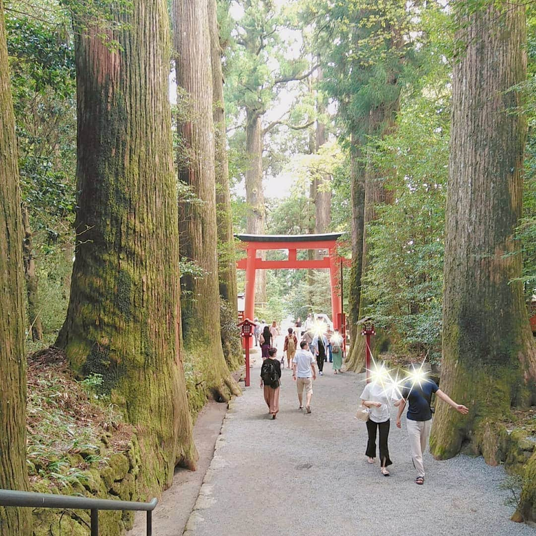 佐々木実季さんのインスタグラム写真 - (佐々木実季Instagram)「先日、箱根に日帰り旅行して来ました✨箱根神社でたくさんパワーを授かって、ポーラ美術館で芸術鑑賞🖌温泉に入って美味しい物食べて、日頃の疲れも吹っ飛びました🍀たまにはゴルフなしもいいね〜😁本当に楽しかったです🎶 ※どこも感染対策バッチリでした🙏 #箱根 #箱根女子旅 #箱根日帰り旅行 #箱根神社 #パワースポット #箱根グルメ #箱根温泉 #箱根ランチ #蕎麦貴賓館 #箱根そば #ポーラ美術館 #モネとマティスもうひとつの楽園 #箱根ディナー #箱根フレンチ #フレンチコース #フレンチディナー #フォンテーヌブロー仙石亭 #箱根フォンテーヌブロー仙石亭 #温泉 #日帰り温泉 #日帰り温泉旅行 #♨ #フレンチ #女子旅グルメ #またゴルフでも来たい笑 #hakone #hakoneshrine #onsen #hakoneonsen #polamuseum」9月2日 12時19分 - miki.sasaki_golf