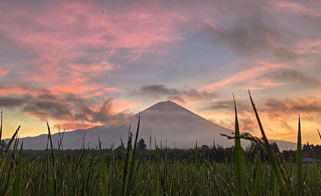 phantastic420のインスタグラム：「. 🤩🤩“Shizuoka” prefecture in Japan is a place where you can see the most “phantastic” Mt. Fuji🗻 in the world.🤩 #富士山 #mtfuji #japan #shizuoka #fujinomiya  #宮すた #miyasta @fujinomiyacity  #phantastic420photography #mostphantasticmtfuji #selamatpagi  #goodmorning  #おはようございます 😇😇😇😇😇😇😇🗻😇😇😇😇」