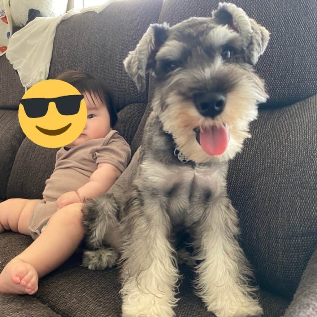 rasuさんのインスタグラム写真 - (rasuInstagram)「ちびちゃんがムロ君に襲われましたw」9月2日 12時41分 - rashu_eat