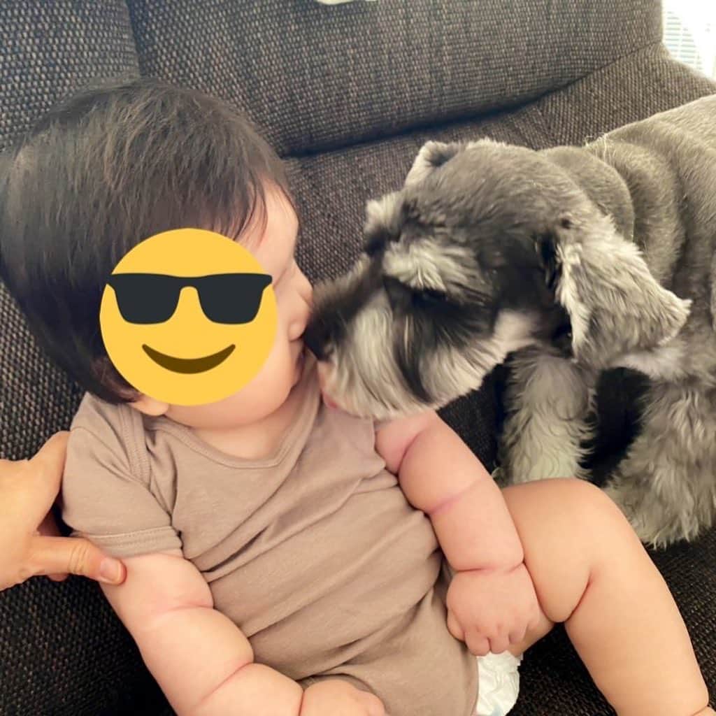 rasuさんのインスタグラム写真 - (rasuInstagram)「ちびちゃんがムロ君に襲われましたw」9月2日 12時41分 - rashu_eat