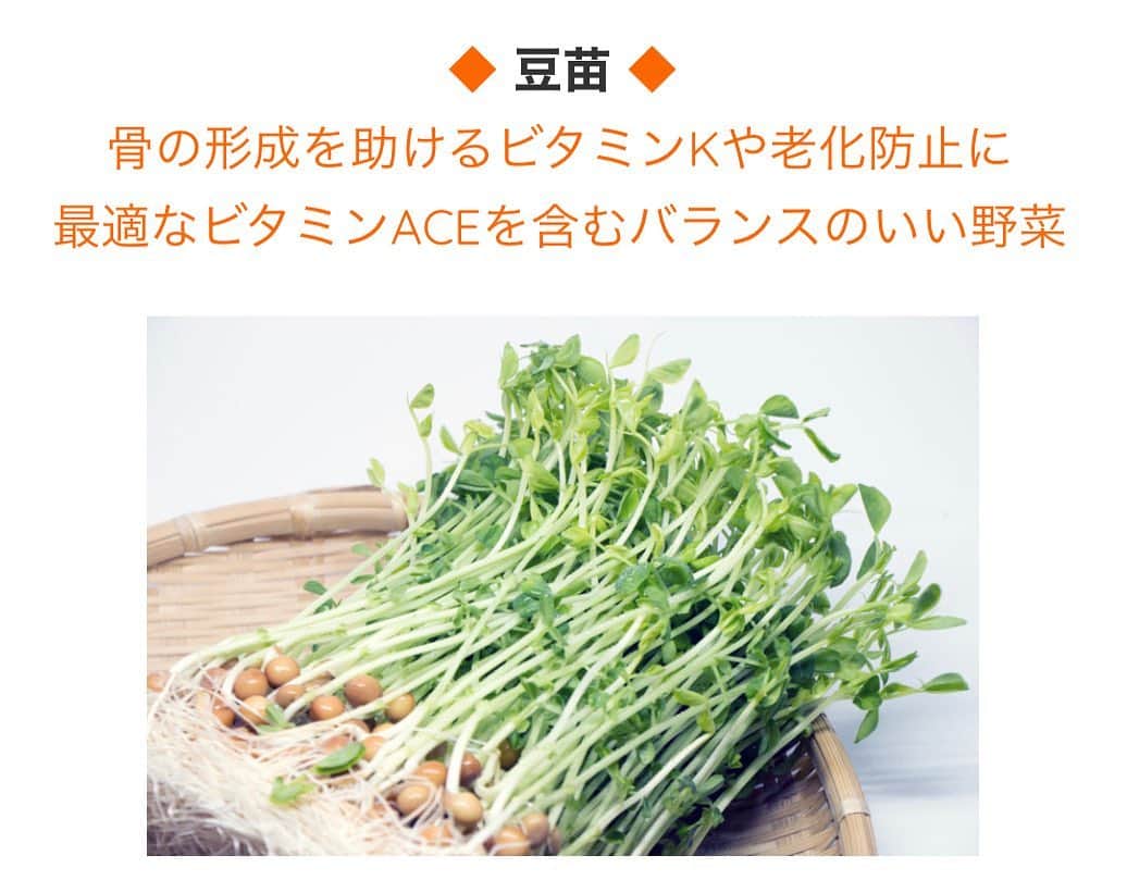 麻生れいみのインスタグラム：「【最強くすり野菜】豆苗は、50ｇで女性が１食でとるべきビタミンK、ビタミンA、葉酸、ビタミンCの7割以上を摂取できる優等生。  ビタミンKは骨の形成を助ける栄養素で、ビタミンA、C、EはビタミンＡＣＥ(エース)と呼ばれ、老化の原因となる活性酸素をブロックするスーパートリオとも言われているんですよ。  油でビタミンＡやＥの吸収率が高まるので、調理は炒めものが最適！  詳しくは↓ リスミカ　麻生れいみで検索！  ❤️ロカボ、ケトジェニックダイエットは400g以上(1日食物繊維20g以上)を目指します。  #アスリート栄養　#スポーツ栄養 #アスリートご飯  #ボディメイク #ボディメイクレシピ  #ロカボダイエット  #管理栄養士  #麻生れいみ式ロカボダイエット  #lowcarbdiet  #lowcarb  #麻生式ダイエット #dietitian  #dietitians  #糖質制限  #ダイエット  #ケトン体 #ケトジェニック #ketodiet #ケトンアダプト #ketoaptation  #ketoadapted #麻生れいみ　 #コロナ太り  #コロナ太りが止まらない  #コロナ太り解消  #最強くすり野菜 #野菜の日 #8月31日野菜の日」
