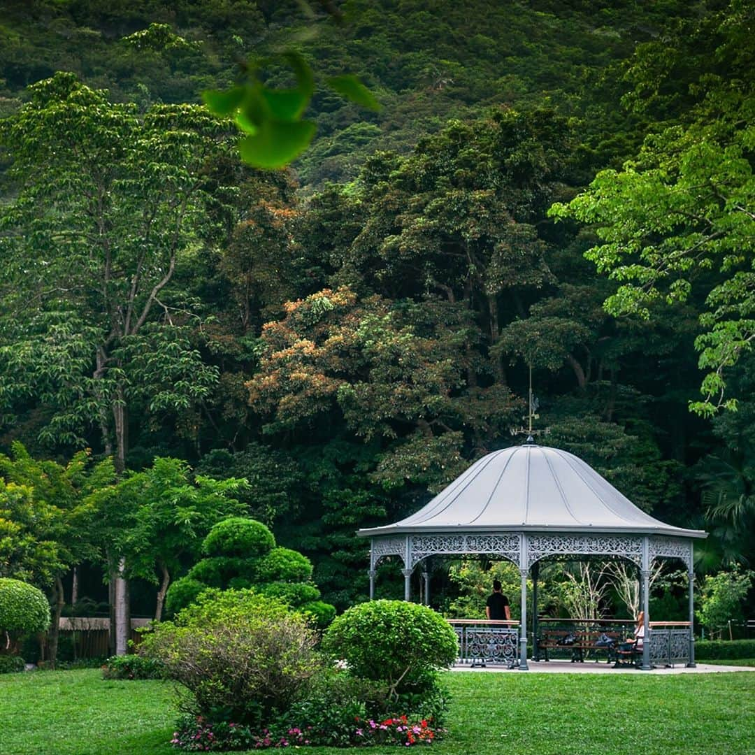 Discover Hong Kongさんのインスタグラム写真 - (Discover Hong KongInstagram)「Finding tranquility in lush greenery 💚 優雅建築加埋綠色園林，望落和諧又舒服！💚 #DiscoverHongKong」9月2日 13時00分 - discoverhongkong