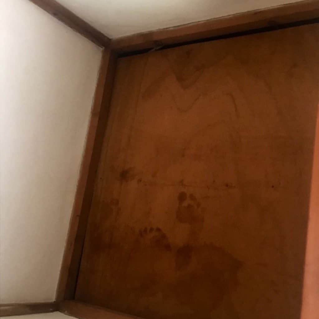 神崎りのあさんのインスタグラム写真 - (神崎りのあInstagram)「京都の実家で ずっと置いてたお仏壇？のけたら 天井に足跡あるんやけど。。  最初無かったはずやのに…怖い。。  …み…見えるよね？ ウチだけ？( °_° )💦  #足跡🐾  #都市伝説化」9月2日 13時13分 - rinoa_kanzaki