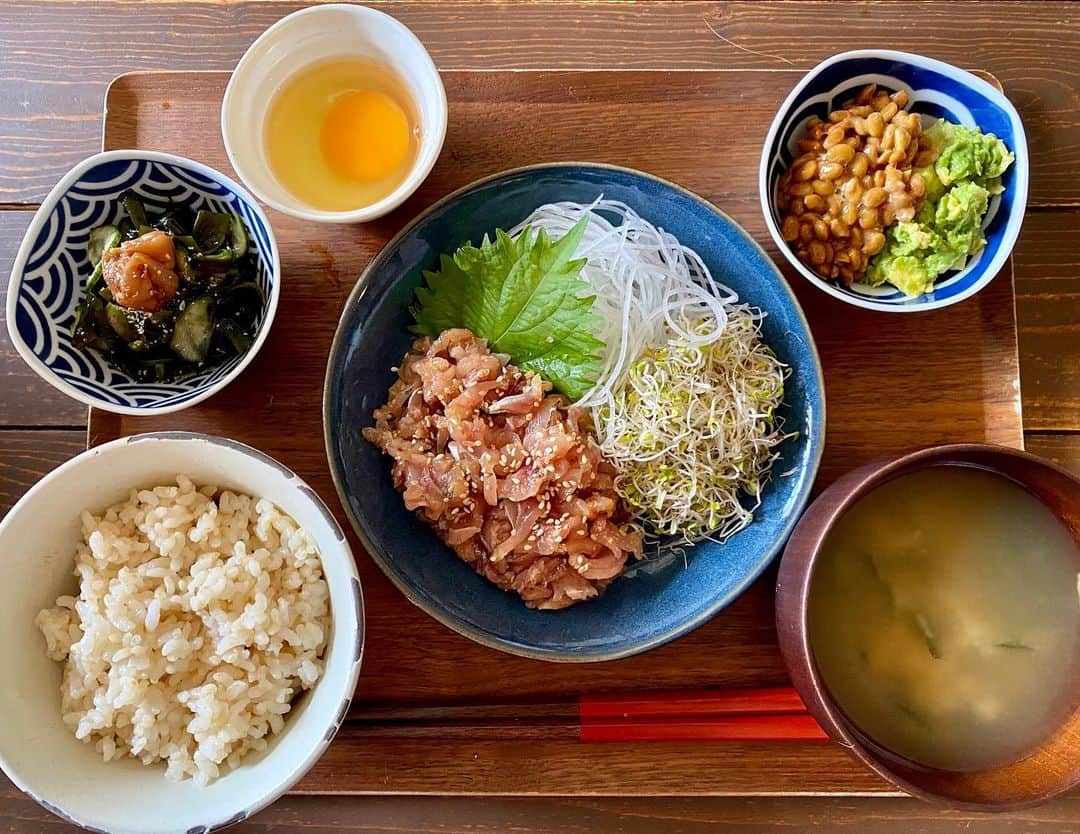 小鳥遊しほのインスタグラム：「自分で自分の好みの定食つくるの好き。ちゃんと器に盛るとそれだけで脳みそが育つ気がする。  ジャンクフードも焼肉もラーメンもすきだけど、日々の朝昼ごはんは質素で栄養価高いものばかり食べたい派。  【お品書き】 アジのたたき〜ゴマ味噌和え〜 アルファルファとツマ(これも大事) わかめときゅうりの酢の物+梅干し 生卵(卵かけご飯にする) アボカド納豆(卵かけご飯に足す) 野菜味噌汁 玄米ごはん  揚げ物・菓子パン・お菓子は たまーに食べる心のスパイス。  普段の食事は和食最高。 素材最高。タンパク質最高。  #じぶんごはん #小鳥飯 #定食 #朝ごはん #和食 #自炊」